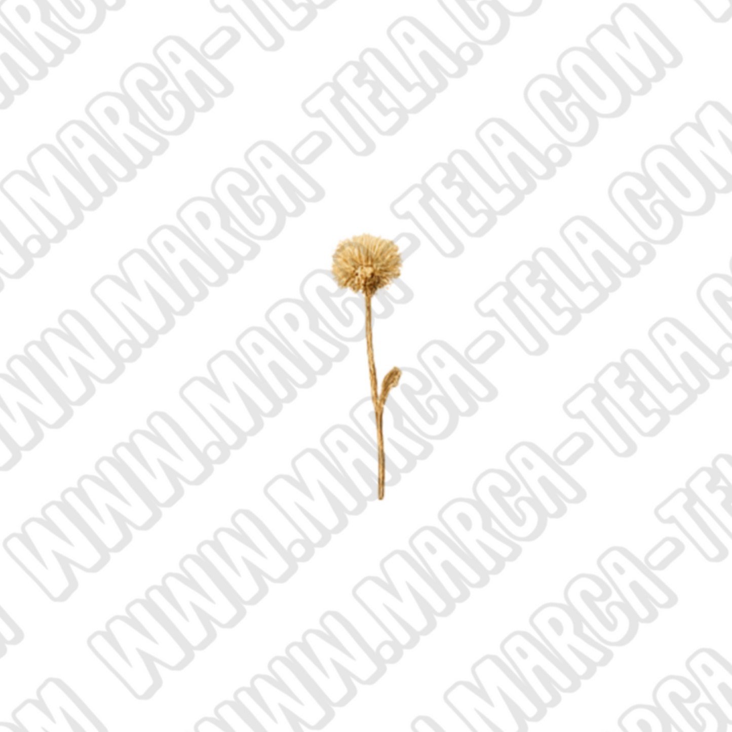 🌿 Paquete PNG – Belleza Natural (20 ilustraciones comerciales)