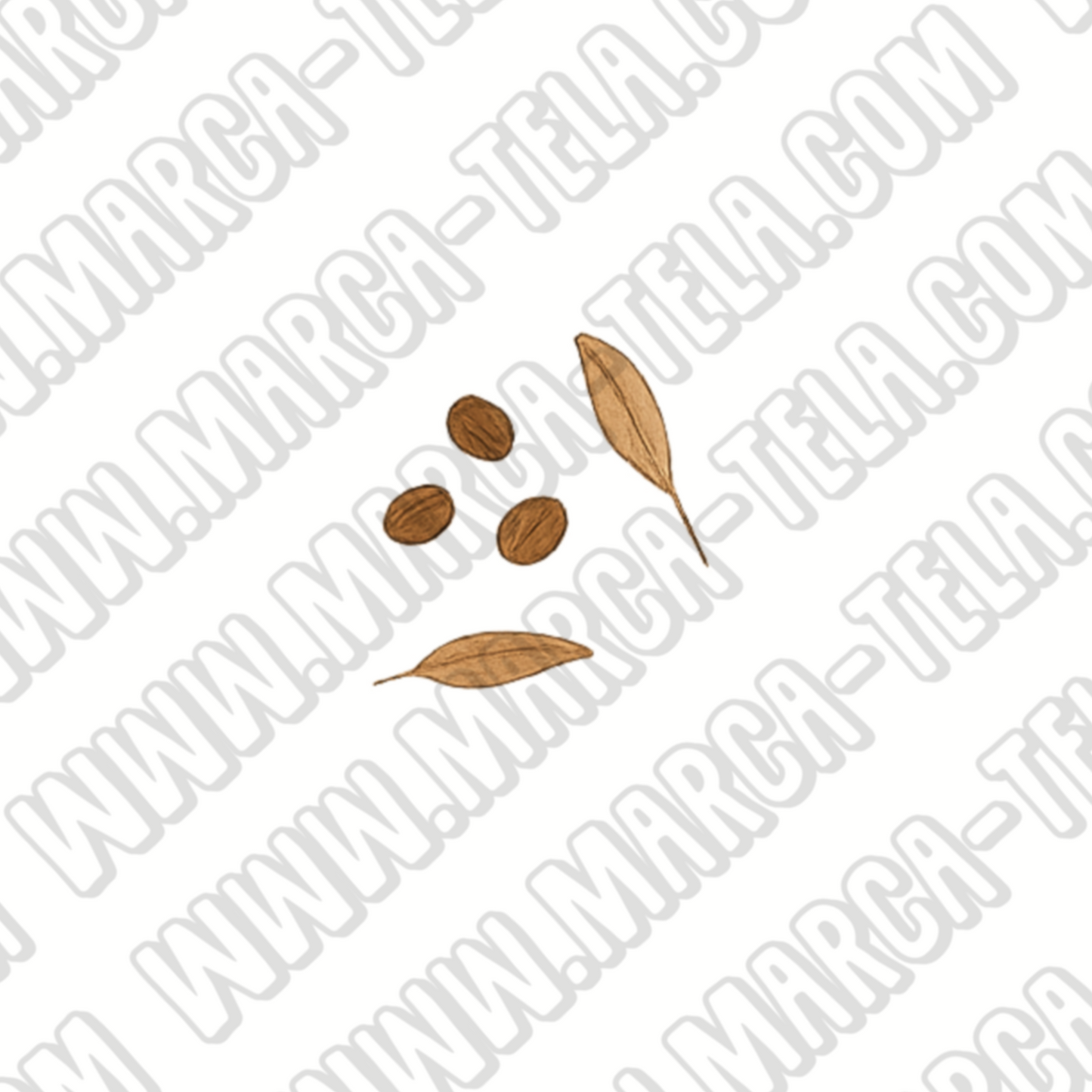 ☕️ Paquete PNG – Coffee Vol 1 (20 ilustraciones comerciales)
