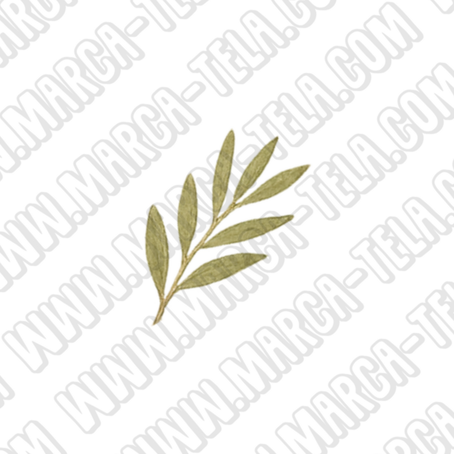 🌿 Paquete PNG – Belleza Natural (20 ilustraciones comerciales)