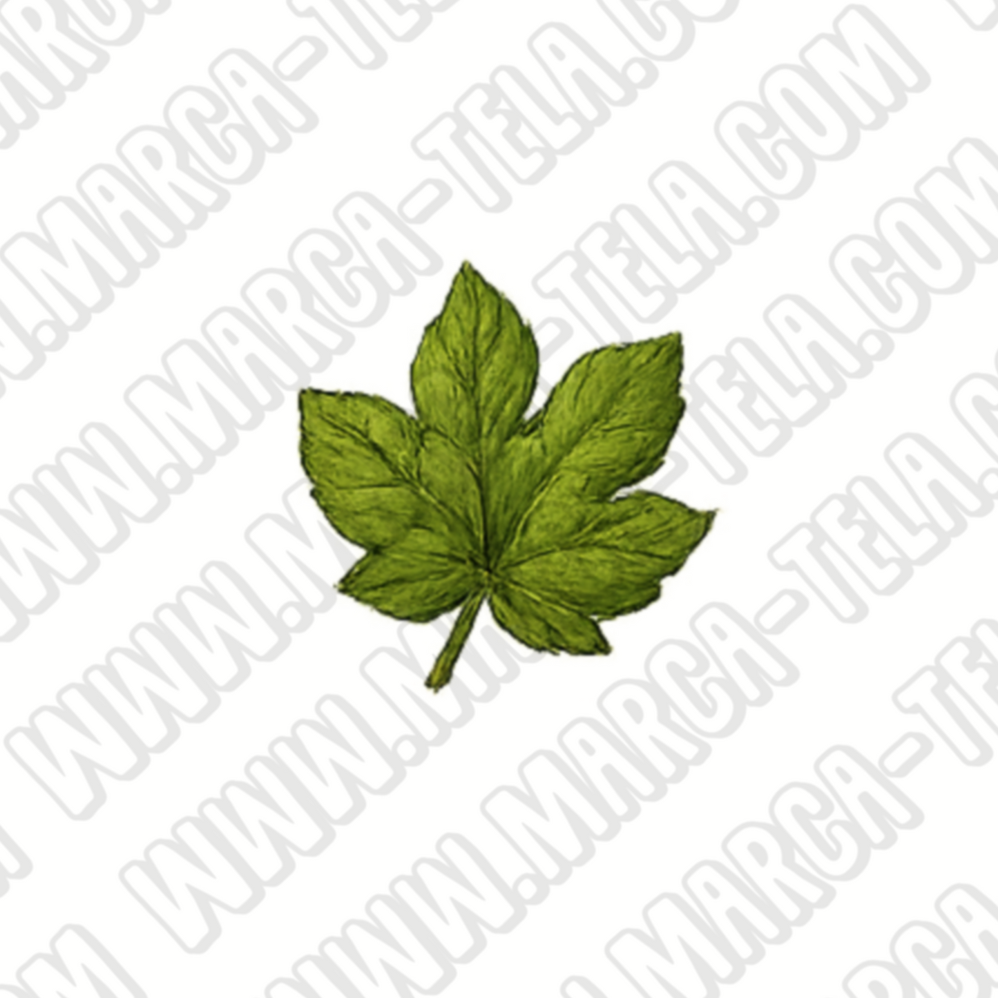 🍻 Paquete PNG – Beer Vibes #1 (20 ilustraciones comerciales)
