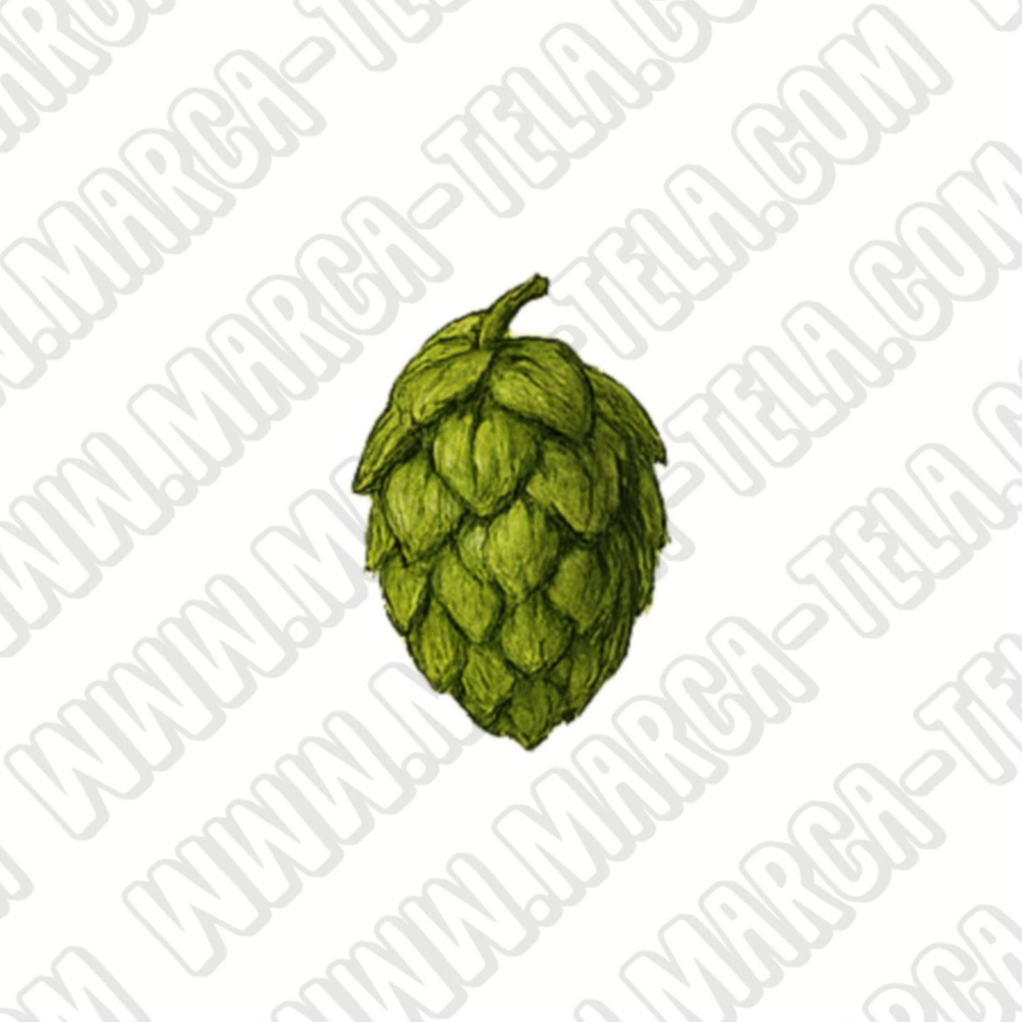 🍻 Paquete PNG – Beer Vibes #1 (20 ilustraciones comerciales)