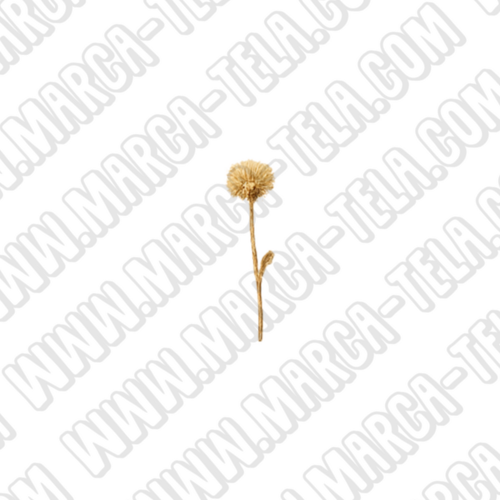 🌿 Paquete PNG – Belleza Natural (20 ilustraciones comerciales)
