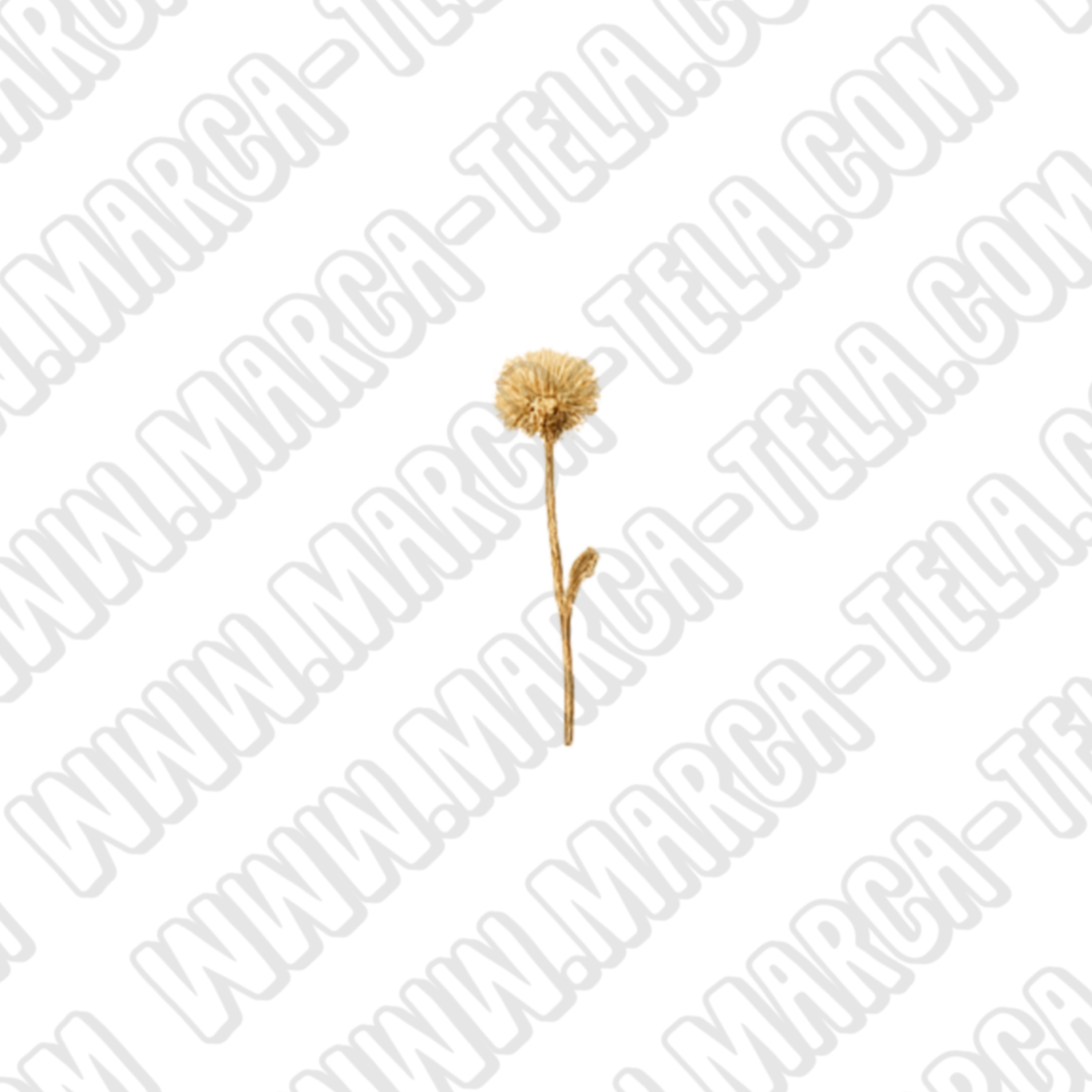 🌿 Paquete PNG – Belleza Natural (20 ilustraciones comerciales)