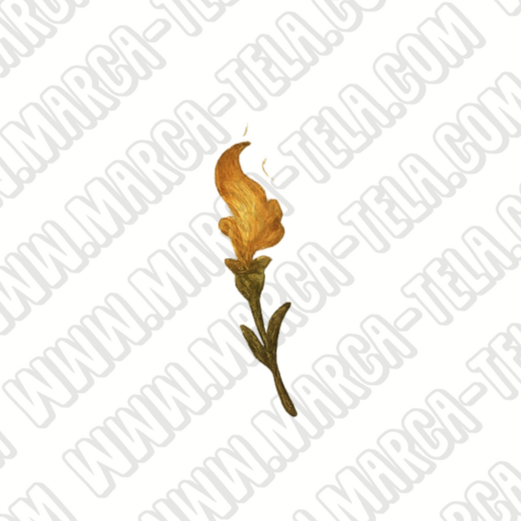 🔮 Paquete PNG – Encendiendo Magia (20 ilustraciones comerciales)