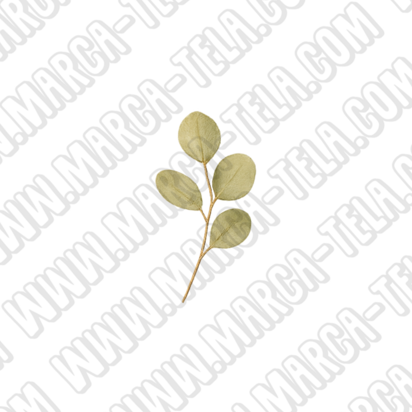 🌿 Paquete PNG – Belleza Natural (20 ilustraciones comerciales)